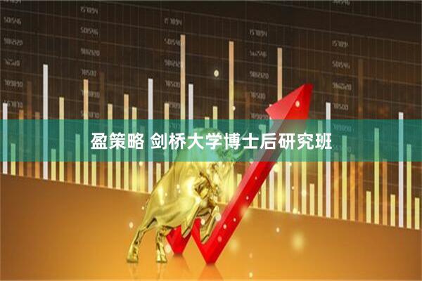 盈策略 剑桥大学博士后研究班