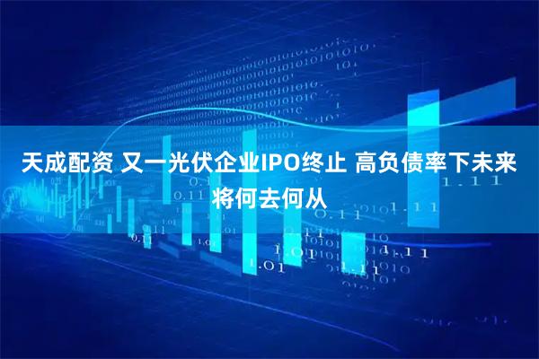 天成配资 又一光伏企业IPO终止 高负债率下未来将何去何从