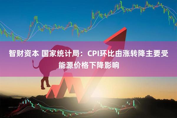 智财资本 国家统计局：CPI环比由涨转降主要受能源价格下降影响