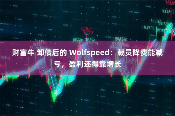 财富牛 卸债后的 Wolfspeed：裁员降费能减亏，盈利还得靠增长
