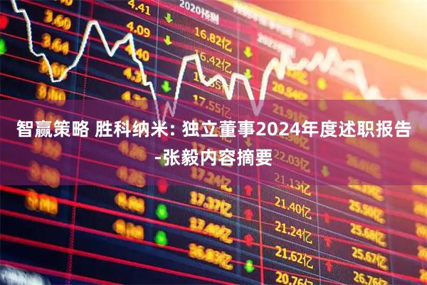 智赢策略 胜科纳米: 独立董事2024年度述职报告-张毅内容摘要