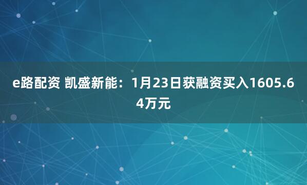 e路配资 凯盛新能：1月23日获融资买入1605.64万元
