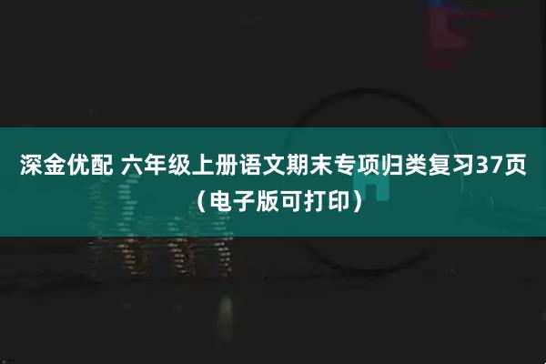 深金优配 六年级上册语文期末专项归类复习37页（电子版可打印）