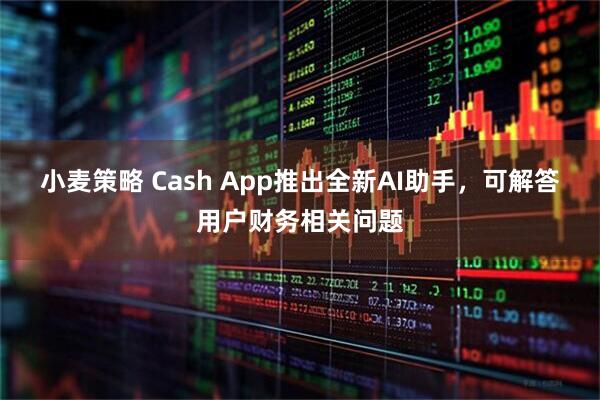 小麦策略 Cash App推出全新AI助手，可解答用户财务相关问题
